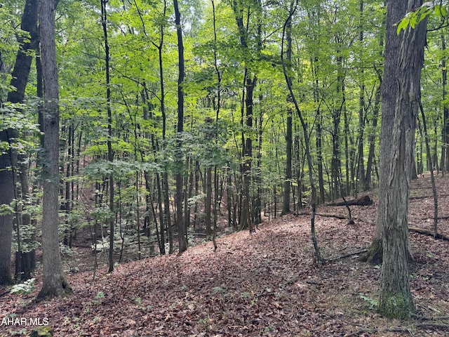 OFF Tulls Hill Rd, Manns Choice, PA 15550 - photo 31