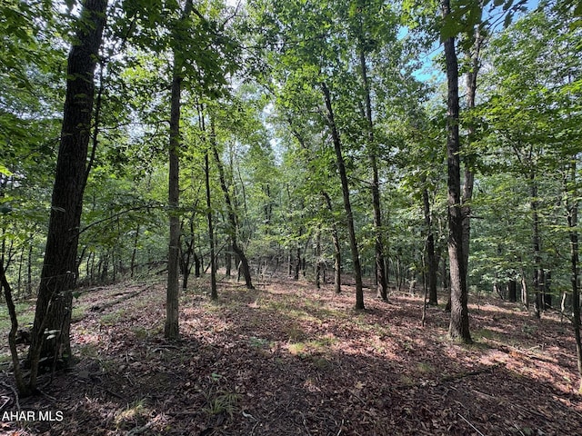 OFF Tulls Hill Rd, Manns Choice, PA 15550 - photo 32