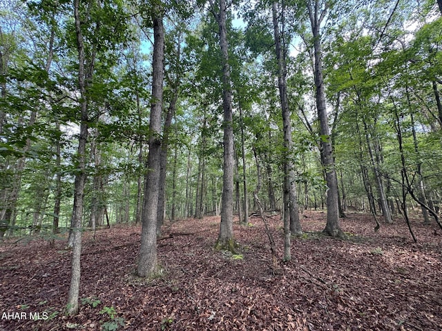 OFF Tulls Hill Rd, Manns Choice, PA 15550 - photo 1