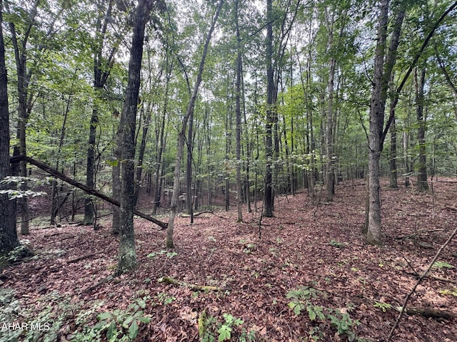 OFF Tulls Hill Rd, Manns Choice, PA 15550 - photo 8