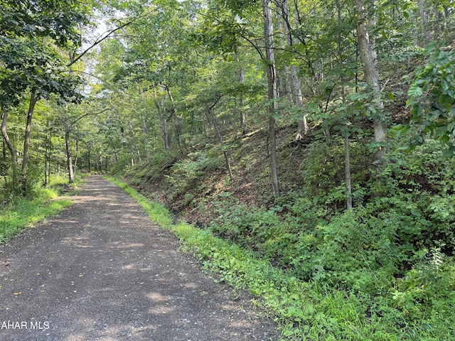 OFF Tulls Hill Rd, Manns Choice, PA 15550 - photo 38