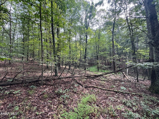 OFF Tulls Hill Rd, Manns Choice, PA 15550 - photo 10