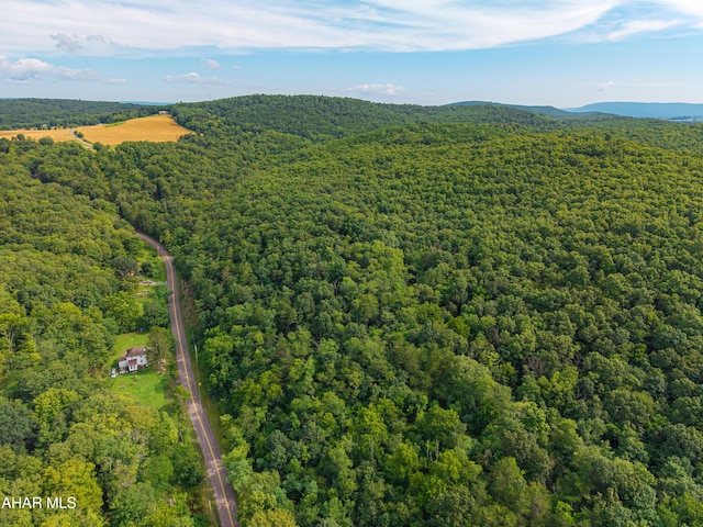 OFF Tulls Hill Rd, Manns Choice, PA 15550 - photo 13