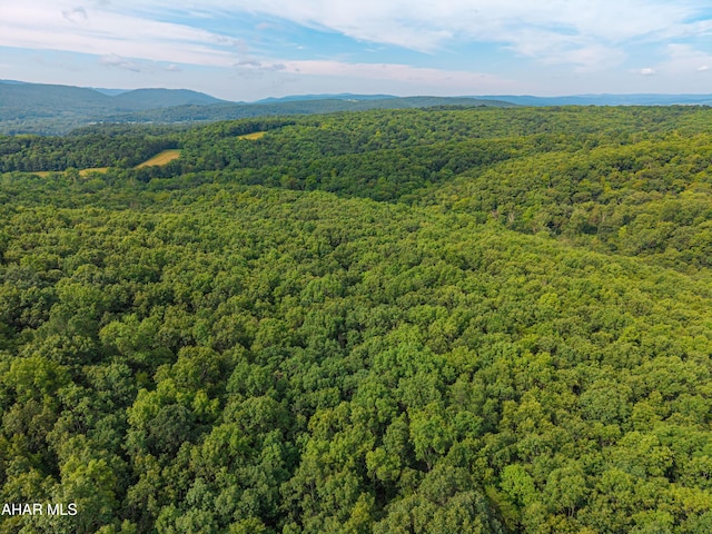 OFF Tulls Hill Rd, Manns Choice, PA 15550 - photo 15