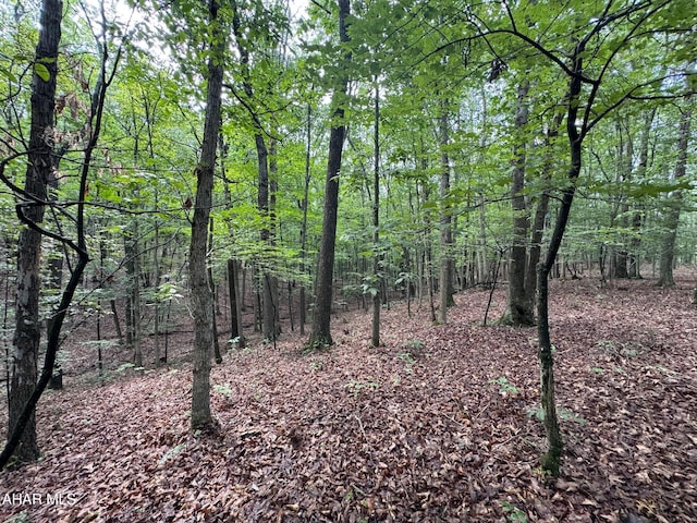 OFF Tulls Hill Rd, Manns Choice, PA 15550 - photo 27