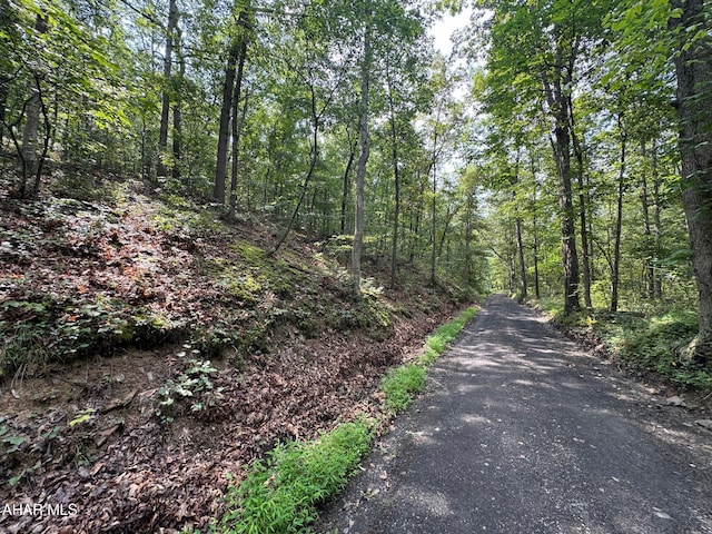 OFF Tulls Hill Rd, Manns Choice, PA 15550 - photo 36