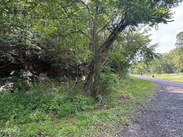 OFF Tulls Hill Rd, Manns Choice, PA 15550 - photo 37