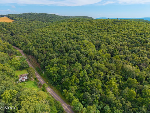 OFF Tulls Hill Rd, Manns Choice, PA 15550 - photo 7