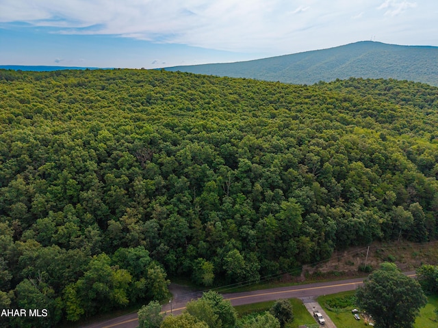 OFF Tulls Hill Rd, Manns Choice, PA 15550 - photo 5
