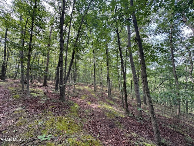 OFF Tulls Hill Rd, Manns Choice, PA 15550 - photo 4