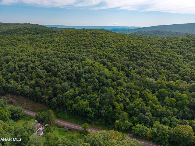 OFF Tulls Hill Rd, Manns Choice, PA 15550 - photo 19