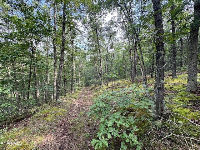 OFF Tulls Hill Rd, Manns Choice, PA 15550 - photo 6