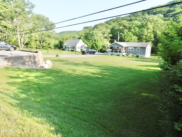 3004 Homers Gap Rd, Altoona, PA 16601 - view of green lawn featuring a forest view