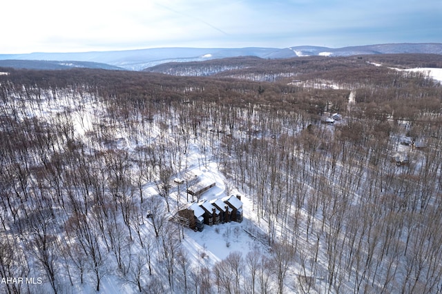 snowy aerial view with a mountain view