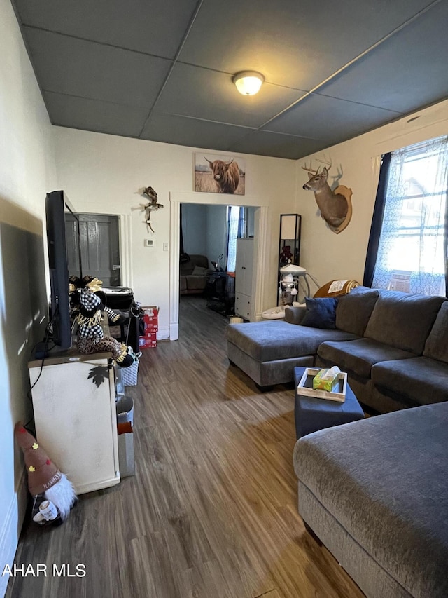 living room featuring hardwood / wood-style floors