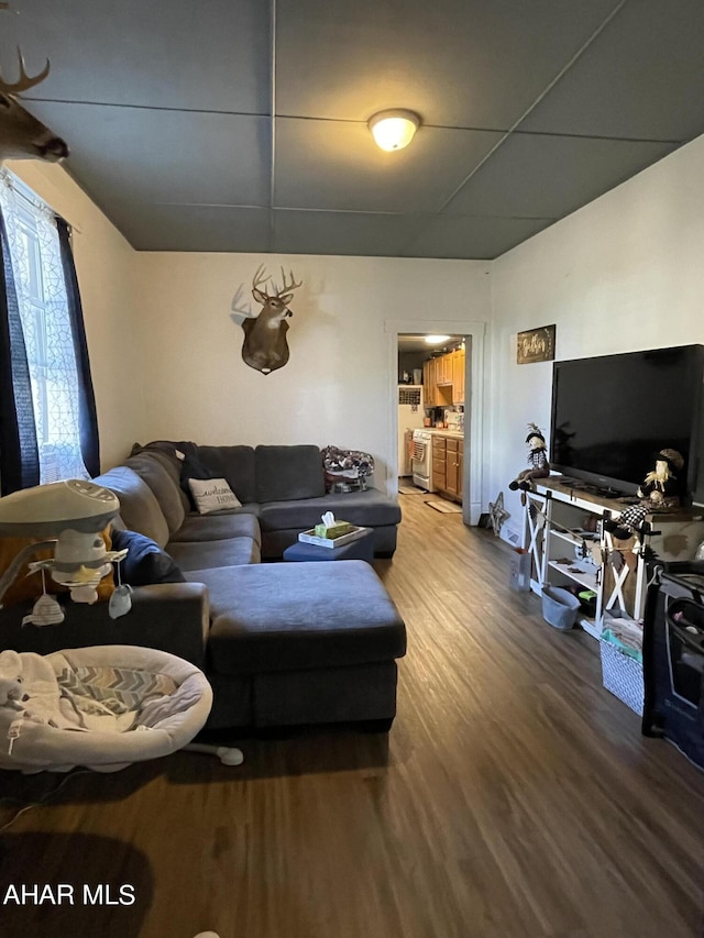 living room featuring hardwood / wood-style floors