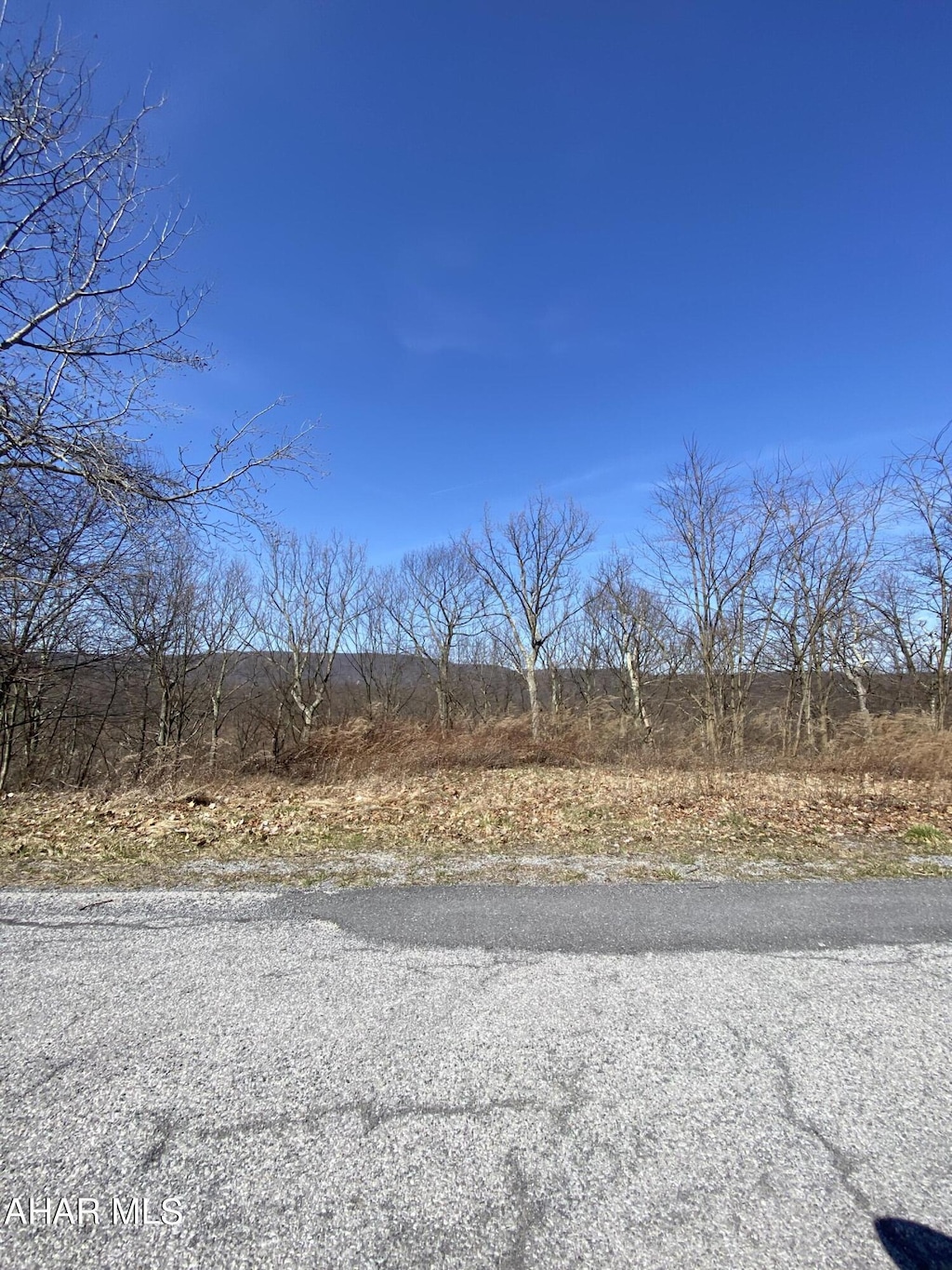 00 Ivyside Estates Ln, Altoona, PA 16601