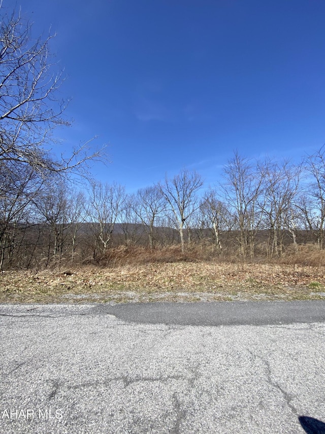 00 Ivyside Estates Ln, Altoona, PA 16601