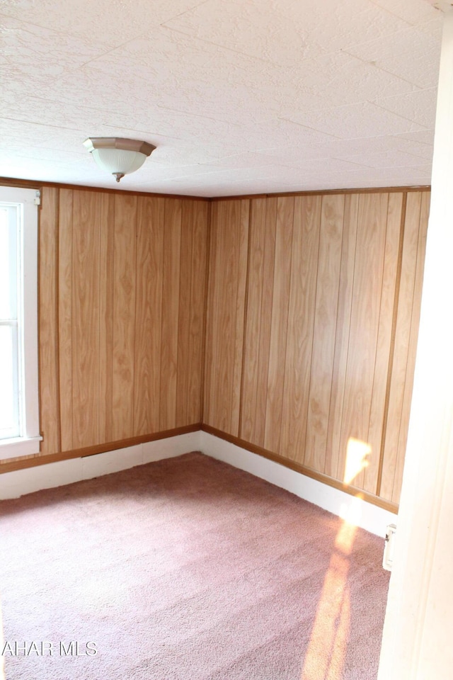 unfurnished room featuring carpet flooring and wood walls