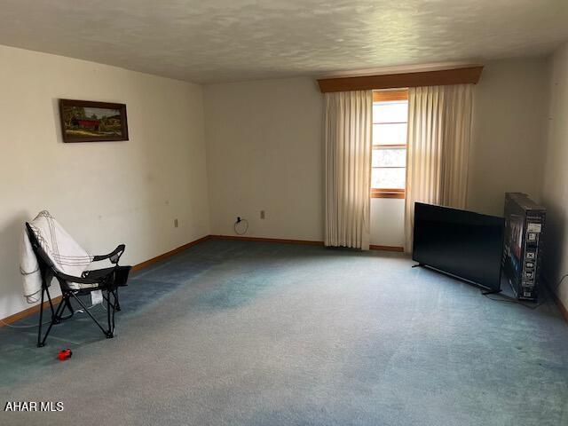 unfurnished room featuring carpet flooring and a textured ceiling