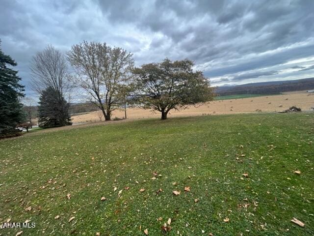 view of yard with a rural view