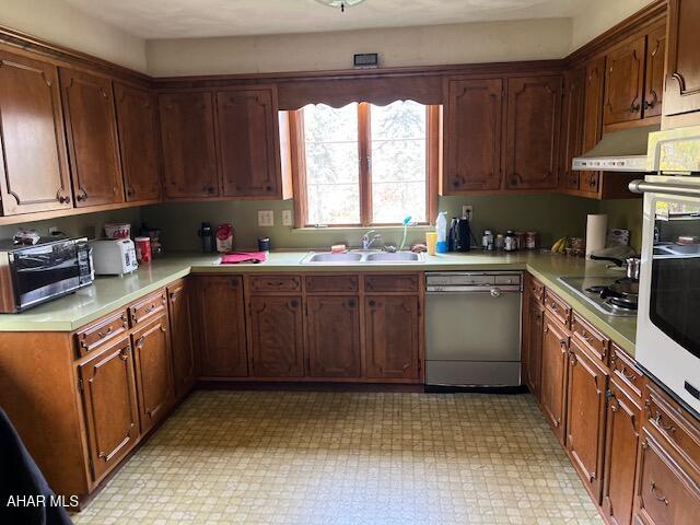 kitchen featuring cooktop, sink, and stainless steel dishwasher