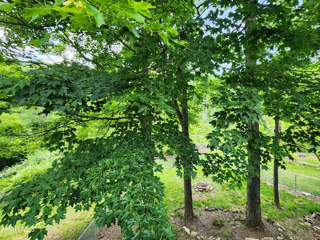 774 Hench St, Bedford, PA 15522 - view of nature