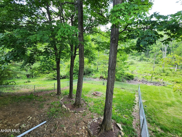774 Hench St, Bedford, PA 15522 - view of yard