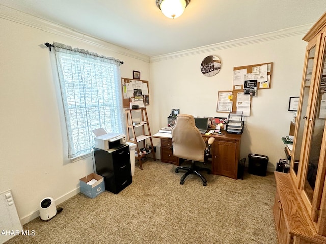 1650 Adams Run Rd, New Paris, PA 15554 - home office with carpet and ornamental molding