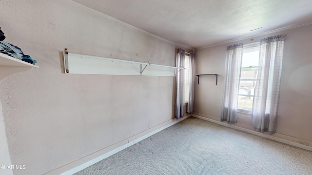2414 4th Ave, Altoona, PA 16602 - unfurnished room with crown molding and carpet flooring