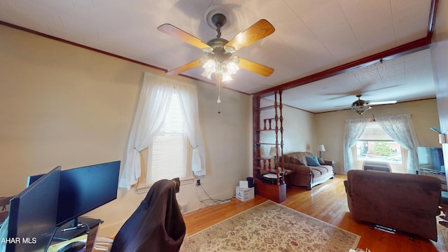 2414 4th Ave, Altoona, PA 16602 - office area featuring ceiling fan, wood finished floors, and ornamental molding