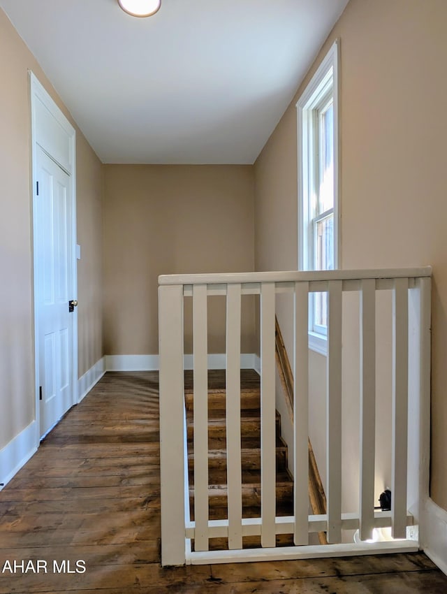 stairs with hardwood / wood-style floors