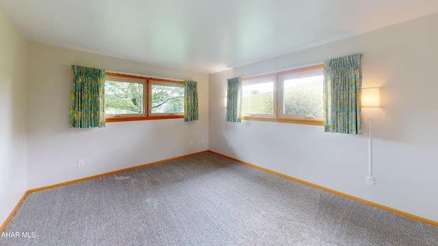 79 Mill Rd, Duncansville, PA 16635 - unfurnished room with carpet floors and baseboards