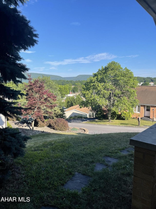 view of yard featuring a mountain view