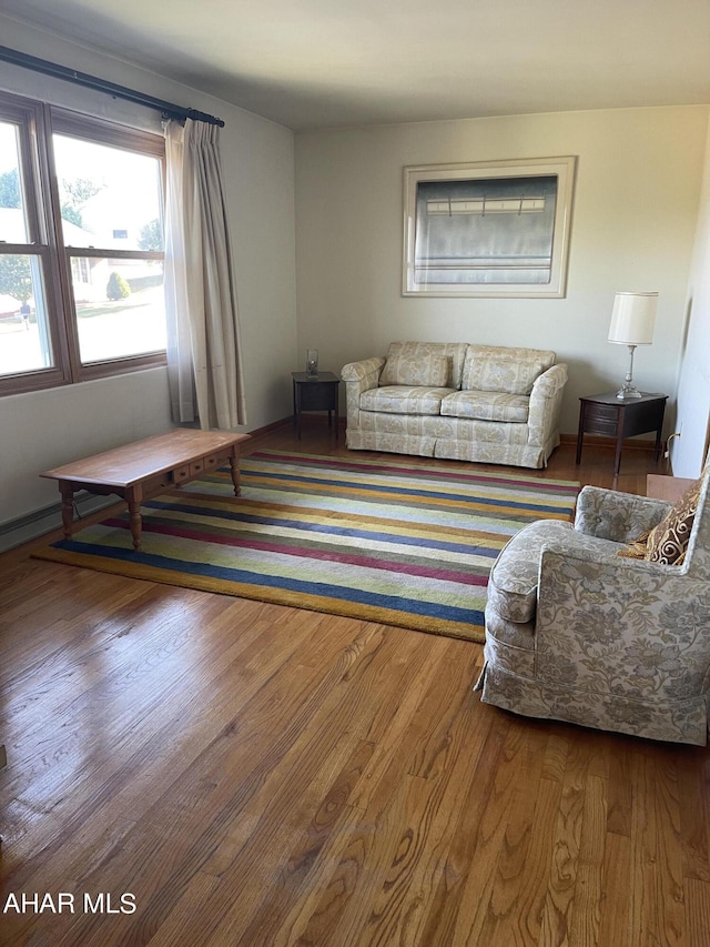 living room featuring hardwood / wood-style floors