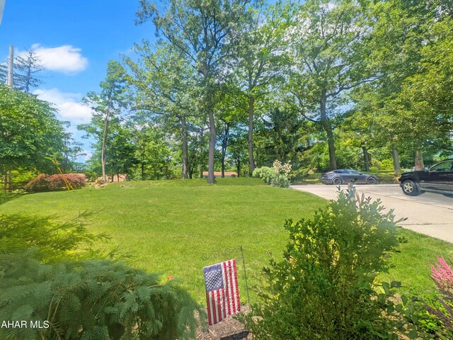 4701 Lynndale Rd, Altoona, PA 16602 - view of grassy yard