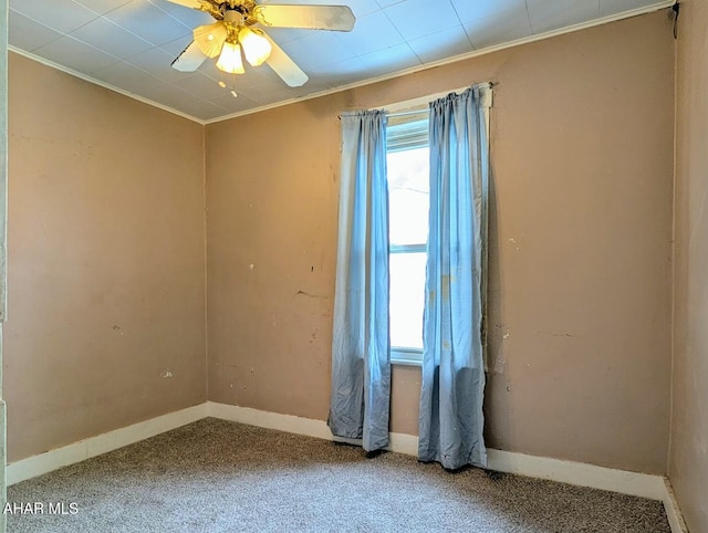 carpeted empty room with ceiling fan and ornamental molding