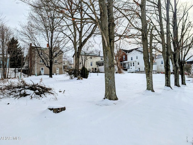 view of snowy yard