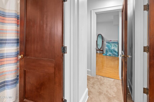 1108 22nd Ave, Altoona, PA 16601 - hallway with carpet and baseboards