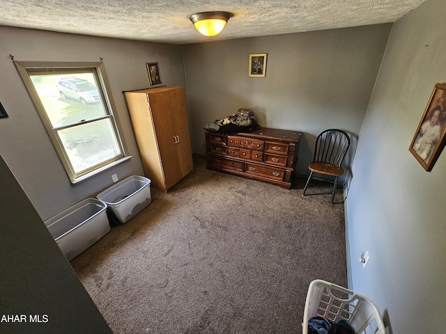 living area featuring carpet and a textured ceiling