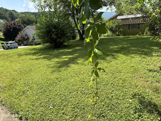 179 Orchard Way, Bedford, PA 15522 - view of green lawn