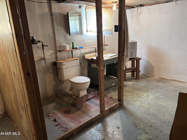 179 Orchard Way, Bedford, PA 15522 - view of unfinished below grade area