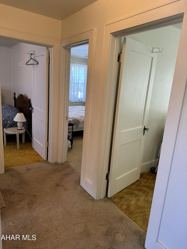 512 26th Ave, Altoona, PA 16601 - hall with carpet floors