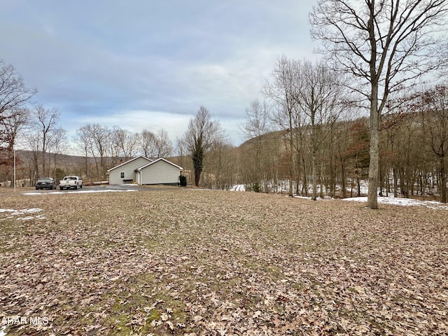 view of yard featuring a garage