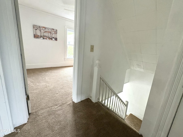 6 B St, Coudersport, PA 16915 - staircase featuring carpet floors and ornamental molding