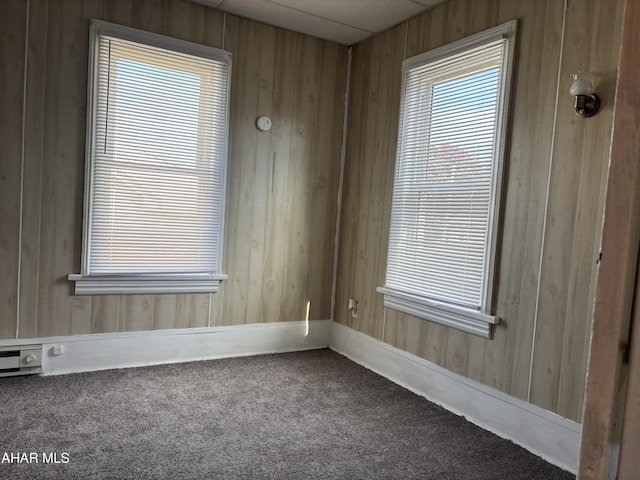 carpeted spare room with wooden walls and a healthy amount of sunlight