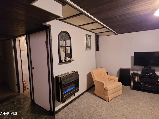 living area with heating unit