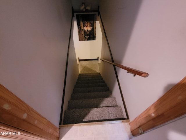 staircase with carpet