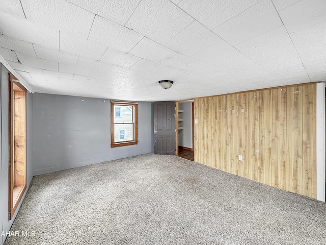 interior space featuring wooden walls and carpet