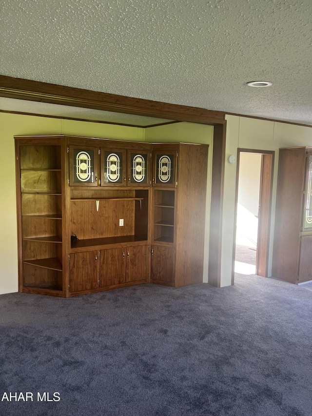 interior space featuring carpet flooring and a textured ceiling